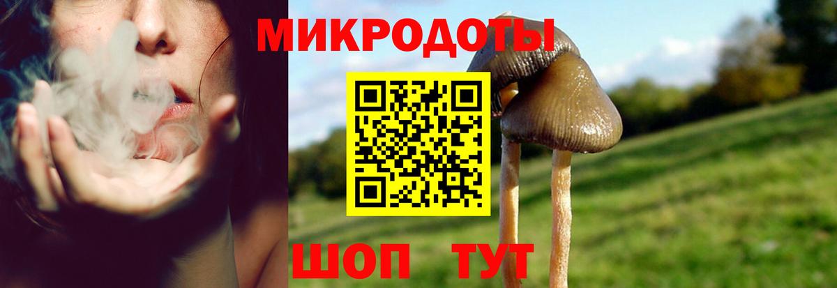 Псилоцибиновые грибы мицелий  где продают наркотики  Тимашёвск  Вход с VPN  Галлюциногенные грибы Psilocybe 